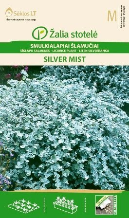 Smulkialapai šlamučiai Silver mist kaina ir informacija | Gėlių sėklos | pigu.lt