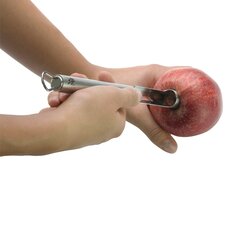 WMF obuolių peilis, 21,5 cm kaina ir informacija | Virtuvės įrankiai | pigu.lt