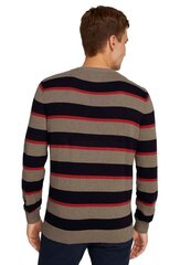 Tom Tailor мужская вязаная кофта, темно-синий-бежевый M 907163941 цена и информация | Мужские свитера | pigu.lt