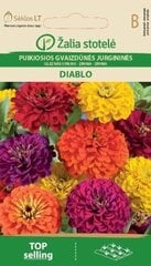 Puikiosios jurgininės gvaizdūnės Diablo kaina ir informacija | Gėlių sėklos | pigu.lt
