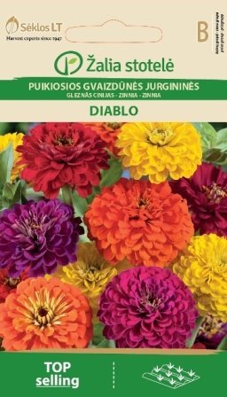 Puikiosios jurgininės gvaizdūnės Diablo цена и информация | Gėlių sėklos | pigu.lt