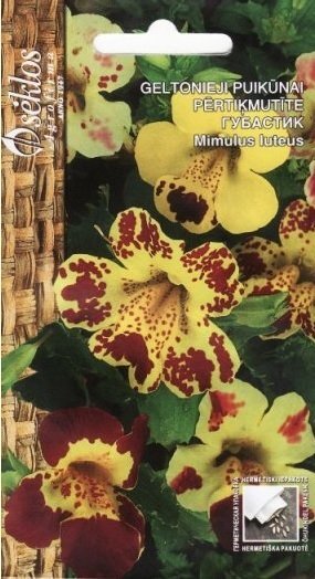 Geltonieji puikūnai Tigrinus kaina ir informacija | Gėlių sėklos | pigu.lt