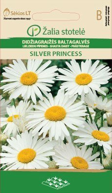 Didžiagraižės baltagalvės Silver Princess цена и информация | Gėlių sėklos | pigu.lt