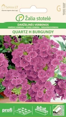 Verbenos Darželinės Quartz H Burgundy kaina ir informacija | Gėlių sėklos | pigu.lt