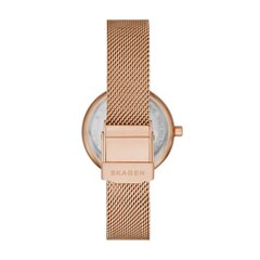 Skagen Amberline женские часы 891257092 цена и информация | Женские часы | pigu.lt