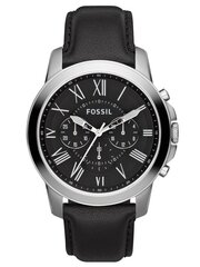 Fossil мужские часы цена и информация | Мужские часы | pigu.lt