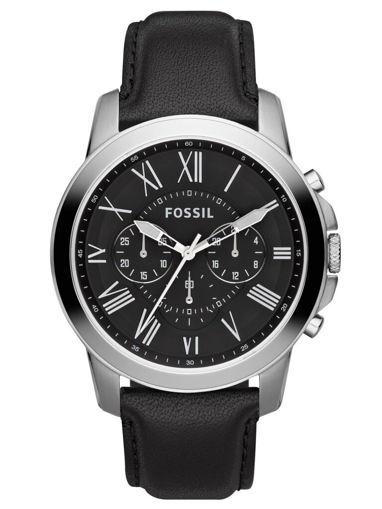 Vyriškas laikrodis Fossil FS4812 kaina ir informacija | Vyriški laikrodžiai | pigu.lt