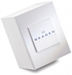 Женские часы Skagen 358SRSC Freja 890164337 цена и информация | Женские часы | pigu.lt