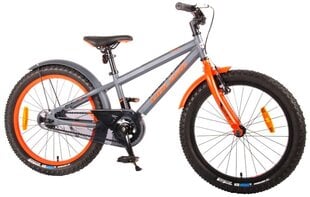 Детский велосипед Volare Rocky 20, серый цена и информация | Велосипеды | pigu.lt