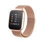 Forever ForeVigo2 SW-310 Rose Gold kaina ir informacija | Išmanieji laikrodžiai (smartwatch) | pigu.lt