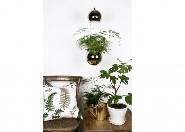 Globen Lighting lubinis šviestuvas Mini Planter цена и информация | Lubiniai šviestuvai | pigu.lt