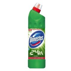 WC valiklis Domestos Pine fresh, 750ml kaina ir informacija | Domestos Virtuvės, buities, apyvokos prekės | pigu.lt