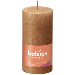 Bolsius žvakės shine 8vnt, rudos cilindro formos kaina ir informacija | Žvakės, Žvakidės | pigu.lt
