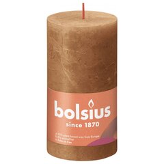 Bolsius Žvakės Shine, 4vnt., rudos, 130x68mm, cilindro formos kaina ir informacija | Žvakės, Žvakidės | pigu.lt