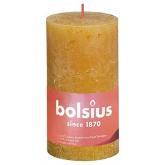 Bolsius Žvakės Shine, 4vnt., korio geltonos, 130x68mm, cilindro formos цена и информация | Bolsius Мебель и домашний интерьер | pigu.lt