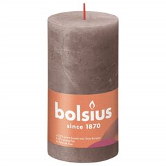 Bolsius Žvakės Shine, 4vnt., taupe, 130x68mm, cilindro formos kaina ir informacija | Žvakės, Žvakidės | pigu.lt