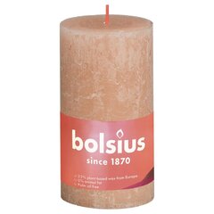 Bolsius Žvakės Shine, 4vnt., blanki rožinė, 130x68mm, cilindro formos kaina ir informacija | Žvakės, Žvakidės | pigu.lt