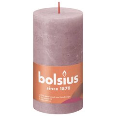 Bolsius Žvakės Shine, 4vnt., pelenų rožinės, 130x68mm, cilindro formos цена и информация | Подсвечники, свечи | pigu.lt