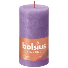 Bolsius Žvakės Shine, 4vnt., violetinės, 130x68mm, cilindro formos kaina ir informacija | Žvakės, Žvakidės | pigu.lt