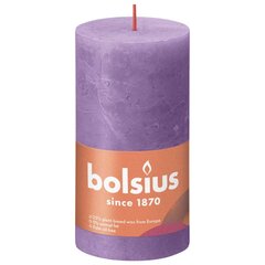 Bolsius Žvakės Shine, 4vnt., violetinės, 130x68mm, cilindro formos цена и информация | Подсвечники, свечи | pigu.lt