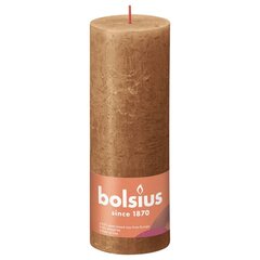 Bolsius Žvakės Shine, 4vnt., rudos, 190x68mm, cilindro formos цена и информация | Подсвечники, свечи | pigu.lt