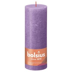 Bolsius Žvakės Shine, 4vnt., violetinės, 190x68mm, cilindro formos kaina ir informacija | Žvakės, Žvakidės | pigu.lt