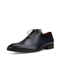 Туфли мужские Conhpol 87631615, синие цена и информация | Мужские кроссовки | pigu.lt
