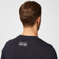 Marškinėliai vyrams Red Bull Racing Graphic 170701019502, juodi цена и информация | Vyriški marškinėliai | pigu.lt