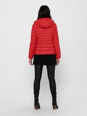 Женская куртка ONLY 80 г 15156569*03, красная цена и информация | Женские куртки | pigu.lt