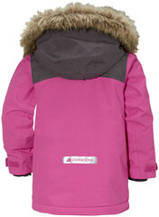 Didriksons žieminė striukė vaikams Kure, 502679-322 kaina ir informacija | Žiemos drabužiai vaikams | pigu.lt