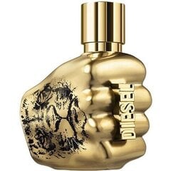 Парфюмированная вода Diesel Spirit Of The Brave Intense EDP для мужчин, 50 мл цена и информация | Мужские духи | pigu.lt