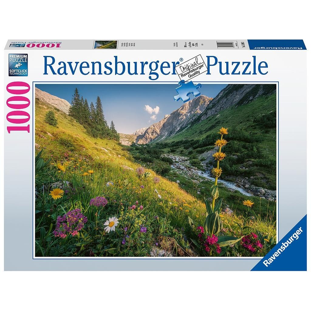 Dėlionė Ravensburger Magiškas slėnis, 1000 d. kaina ir informacija | Dėlionės (puzzle) | pigu.lt