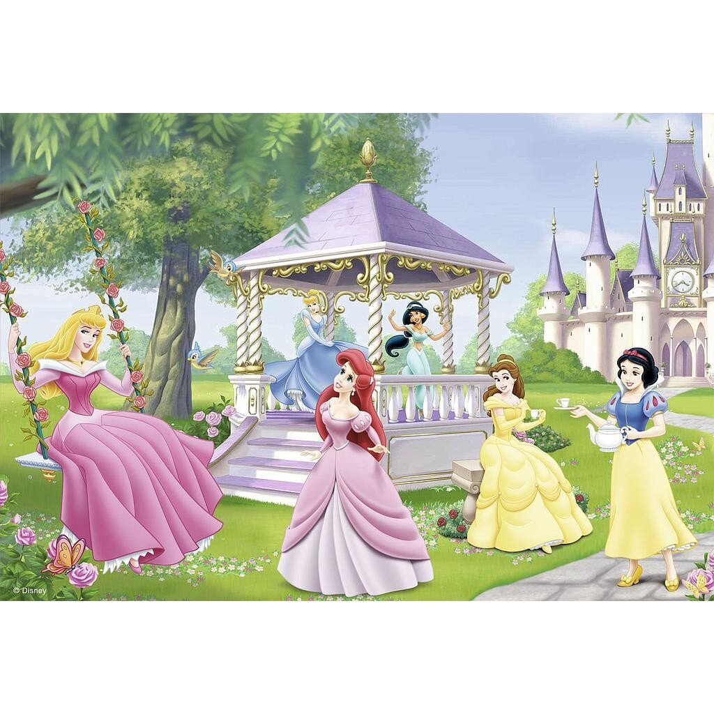 Dėlionės Ravensburger Disney Princess, 2x24 d. kaina ir informacija | Dėlionės (puzzle) | pigu.lt