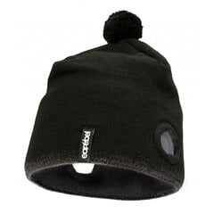 Jbl Earebel Impulse Beanie 4260567163235 kaina ir informacija | Ausinės | pigu.lt