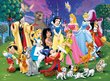 Dėlionė Disney veikėjos, Ravensburger, 200 det. kaina ir informacija | Dėlionės (puzzle) | pigu.lt