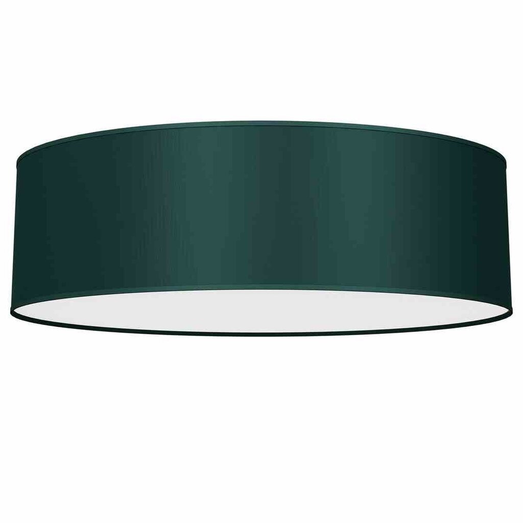 Milagro lubinis šviestuvas Verde Green kaina ir informacija | Lubiniai šviestuvai | pigu.lt