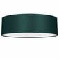 Milagro lubinis šviestuvas Verde Green kaina ir informacija | Lubiniai šviestuvai | pigu.lt