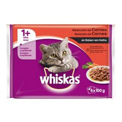 Kačių maistas Whiskas, 4 x 100 g kaina ir informacija | Whiskas Gyvūnų prekės | pigu.lt