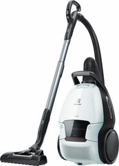 Electrolux PD91-6IWX kaina ir informacija | Dulkių siurbliai | pigu.lt