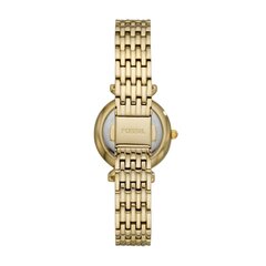 Fossil Carlie женские часыl 890872189 цена и информация | Женские часы | pigu.lt