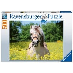 Ravensburger пазл 500 шт. Белая лошадь. цена и информация | Пазлы | pigu.lt