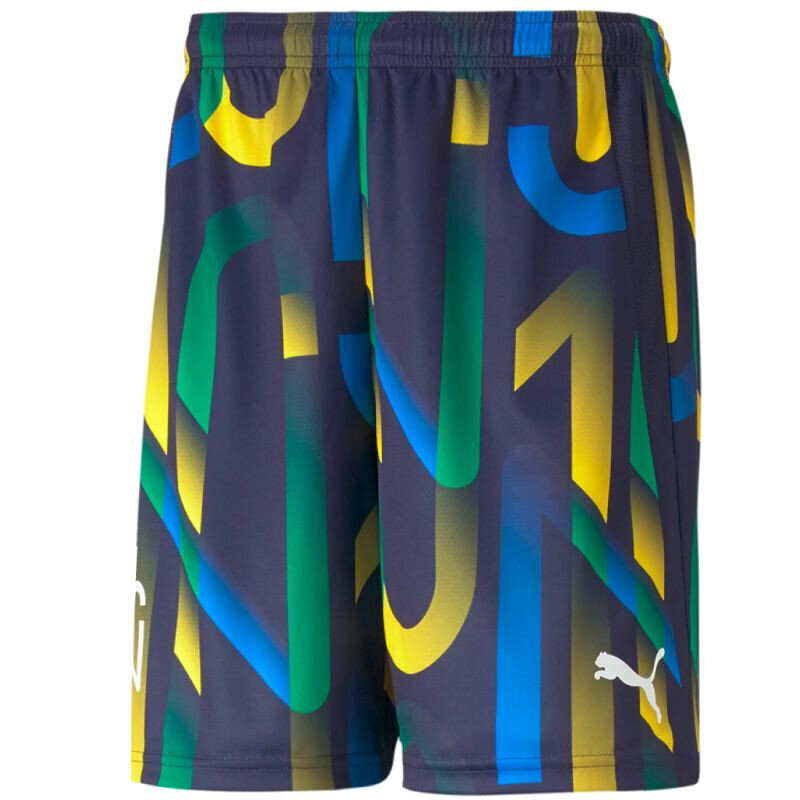 Sportiniai šortai vyrams Puma Neymar Jr Future Printed Short M 605552-06, įvairių spalvų цена и информация | Futbolo apranga ir kitos prekės | pigu.lt
