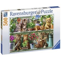 Dėlionė Ravensburger Katės ant lentynos, 500 d. kaina ir informacija | Dėlionės (puzzle) | pigu.lt