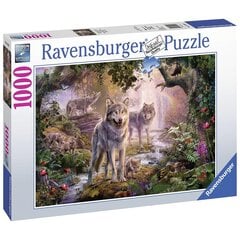 Dėlionė Vilkai Ravensburger, 1000d. kaina ir informacija | Dėlionės (puzzle) | pigu.lt