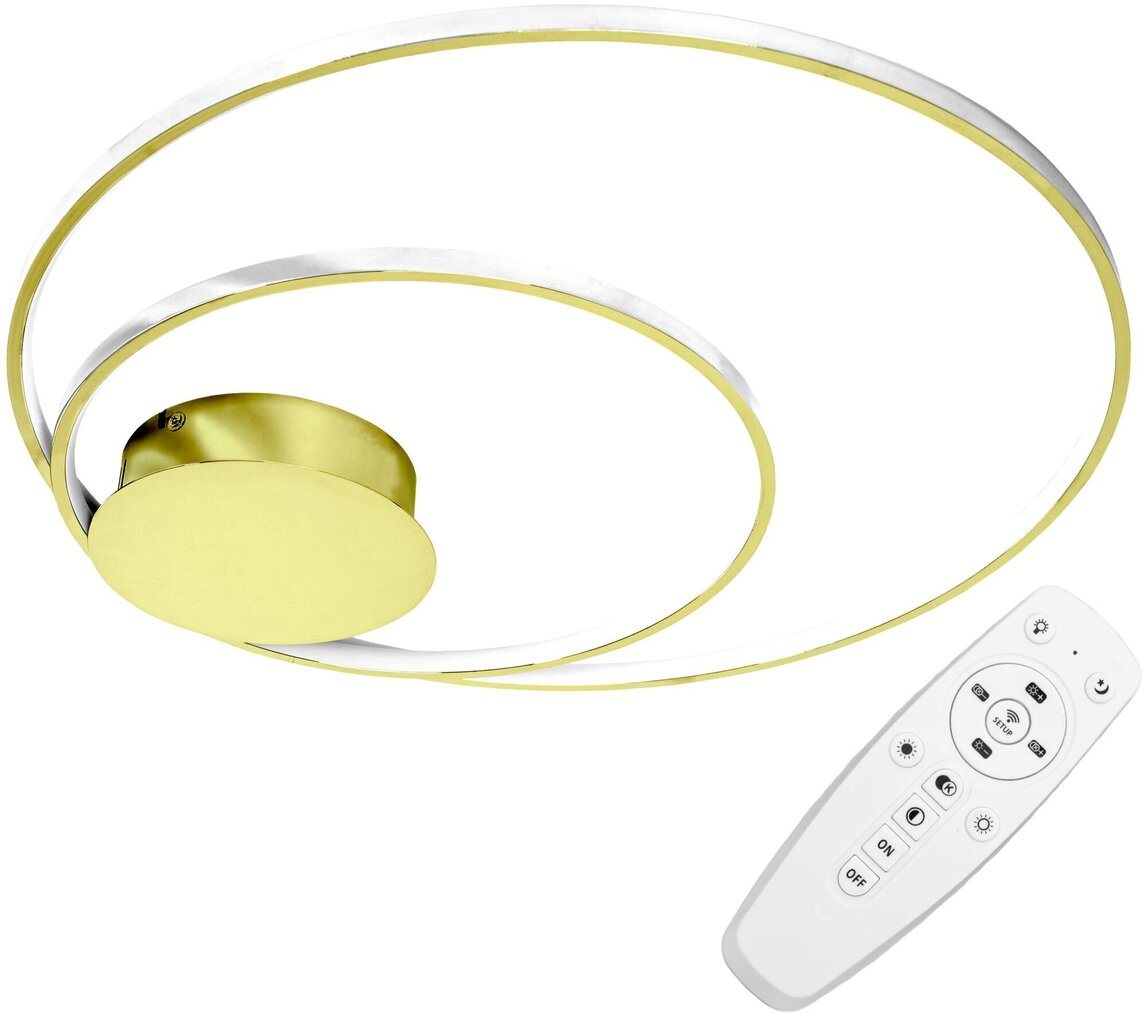 Lubinis LED šviestuvas su pultu Saturn, Gold kaina ir informacija | Lubiniai šviestuvai | pigu.lt