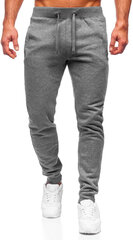 Брюки J.Style Grey 68XW01/DARK цена и информация | Мужские брюки | pigu.lt