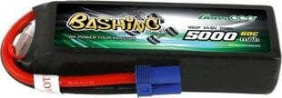 Gens Ace baterija LiPo Bashing EC5 5000mAh 14,8V 4S1P 60C kaina ir informacija | Akumuliatoriai | pigu.lt