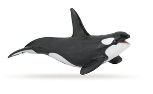 Фигурка Papo дельфин цена и информация | Игрушки для мальчиков | pigu.lt