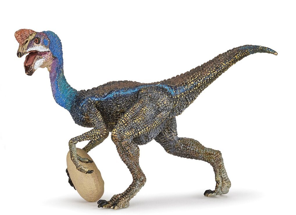 Figūrėlė Papo Oviraptor Blue цена и информация | Žaislai berniukams | pigu.lt