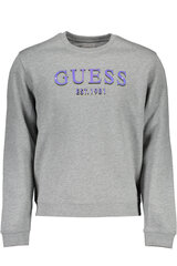 Джемпер мужской Guess Jeans, серый цена и информация | Мужские свитера | pigu.lt